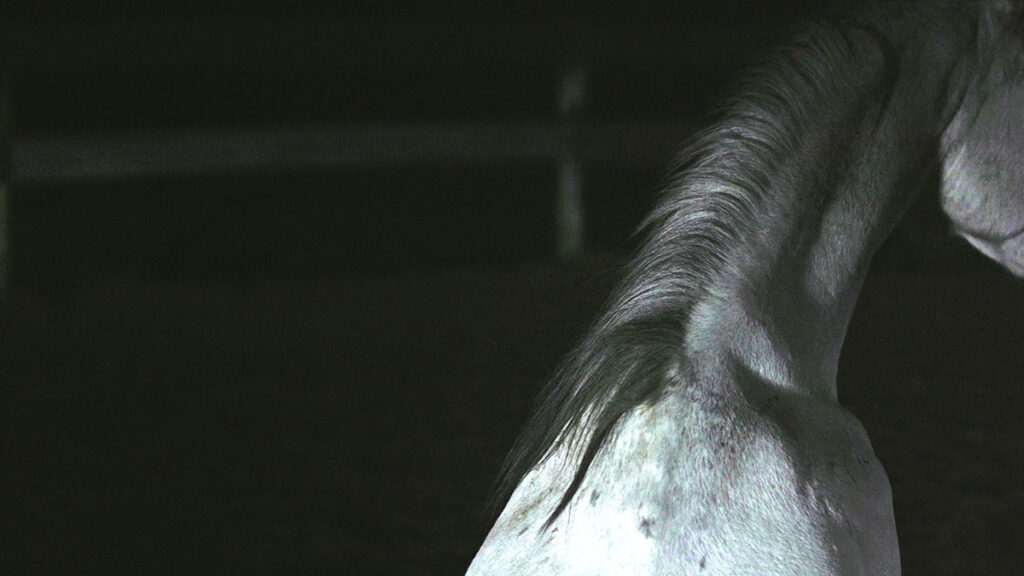 image: Valentina Furian, Centauro, 2023 – 2024