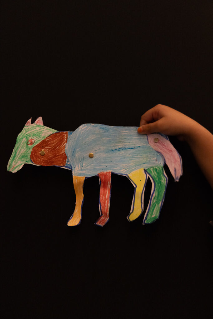 image: Ph. Daniele Signaroldi