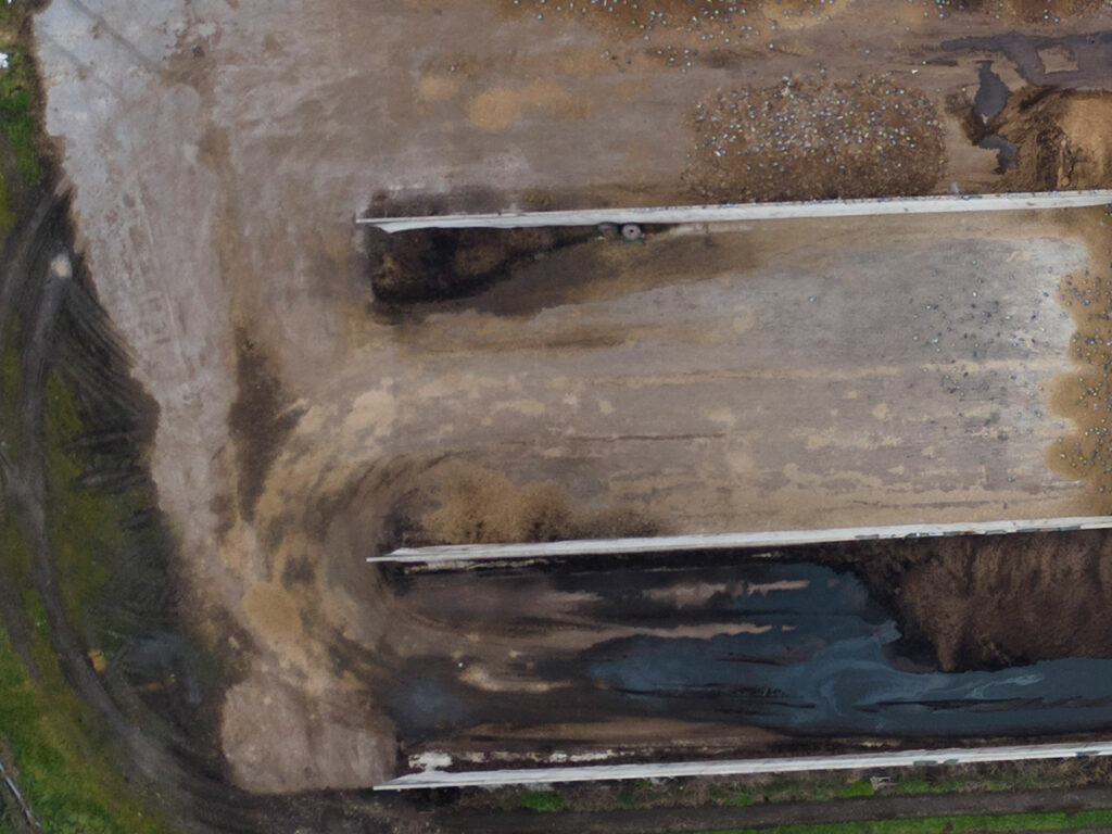 image: @ Elisabetta Granata / TIFF