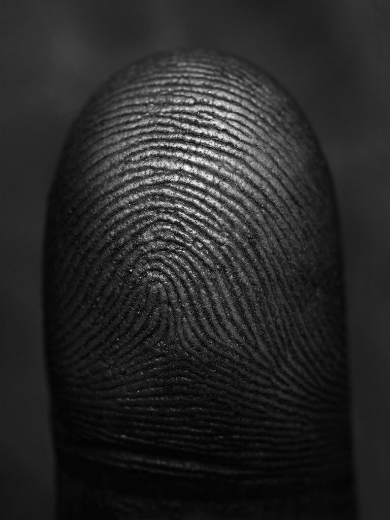 image: @ Giorgio Dirindin / CESURA