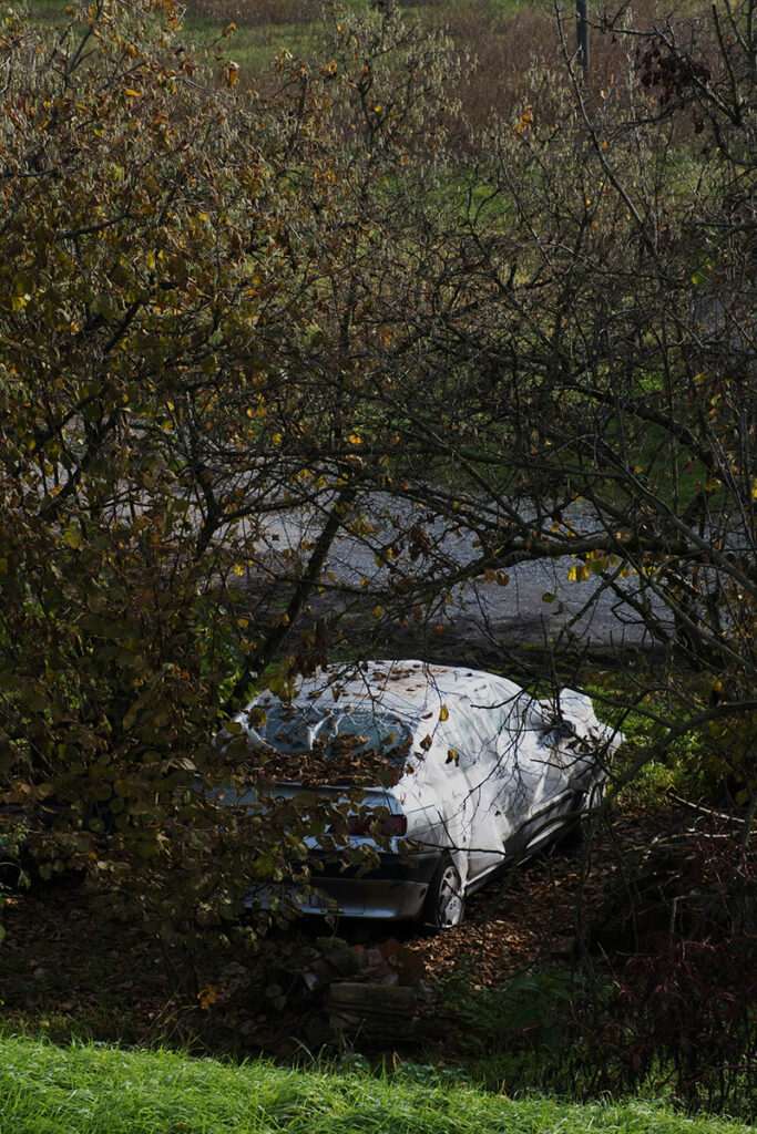 image: @ Marco Rigamonti / TIFF